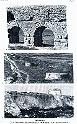 Carthage aq 118